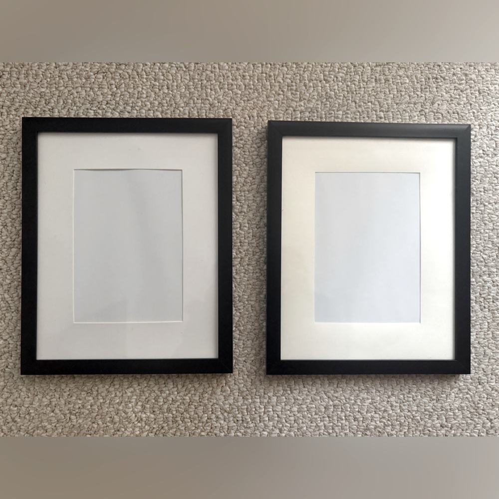 Set of 2 - 8.75”x10.75” black frames matted to 4.5”x6.5”